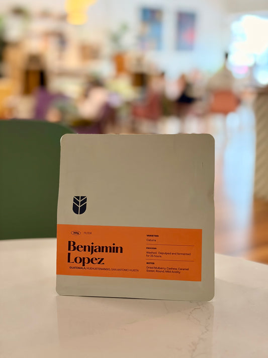 Benjamin Lopez - Guatemala Washed