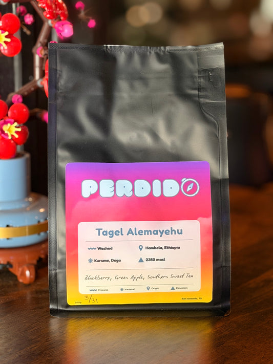 Tagel Alemayehu - Ethiopia Washed