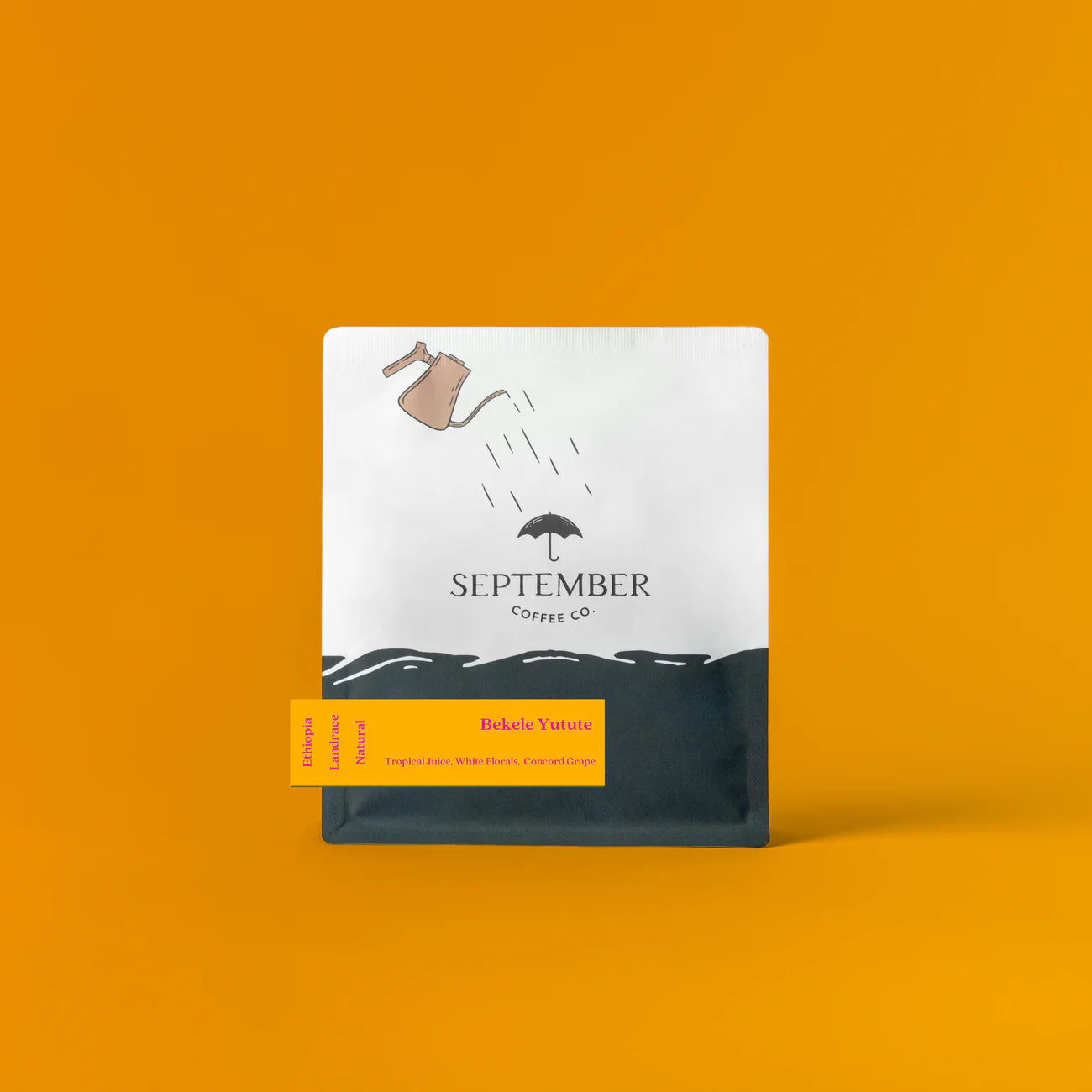 September - Bekele Yutute