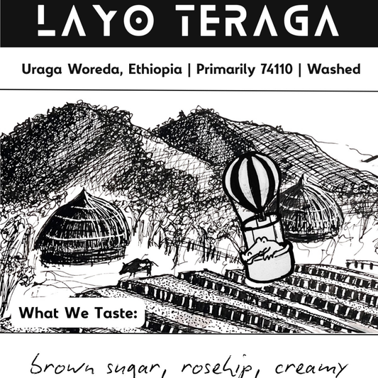 NoFi Layo Teraga - Washed