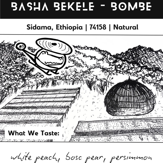 NoFi Basha Bekele Bombe - Natural