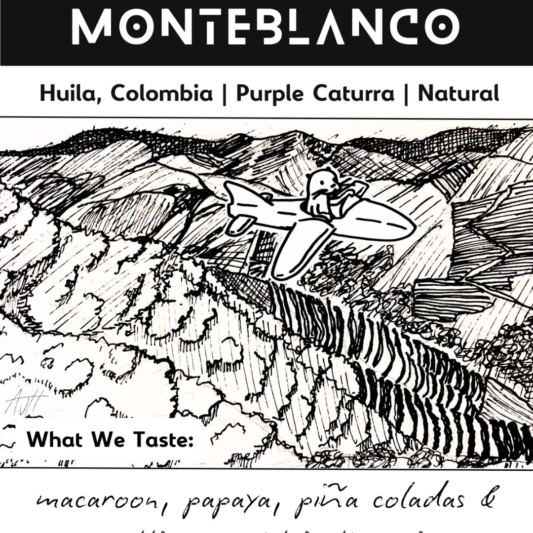 NoFi Monteblanco - Cold Ferment Natural
