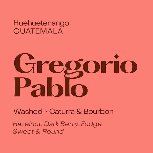 Gregorio Pablo - Guatemala Washed