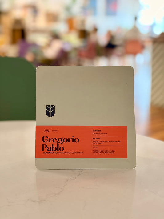 Gregorio Pablo - Guatemala Washed