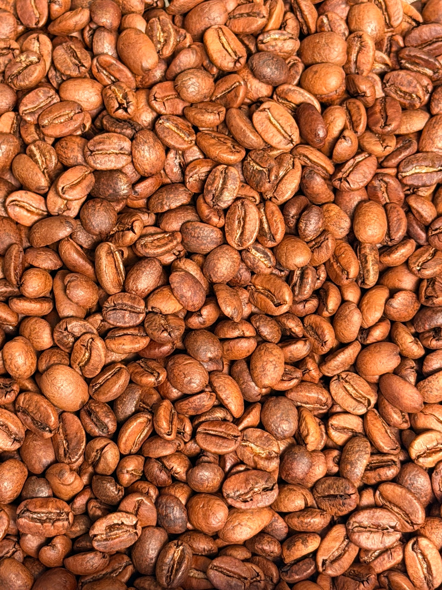 NoFi - Champagne Room