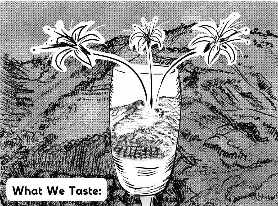 NoFi - Champagne Room