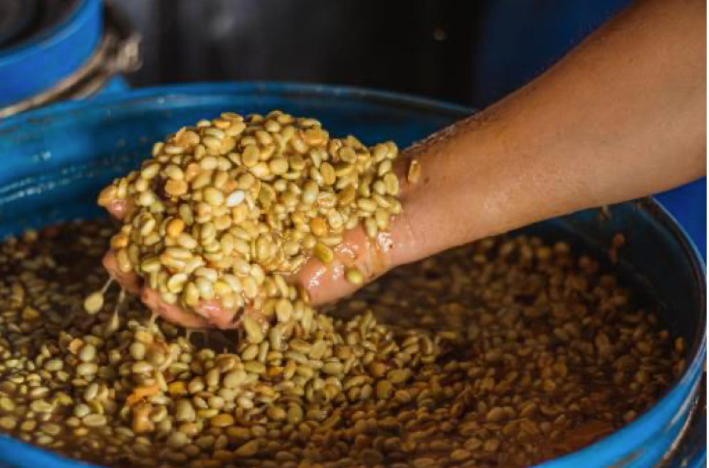 NoFi - Champagne Room