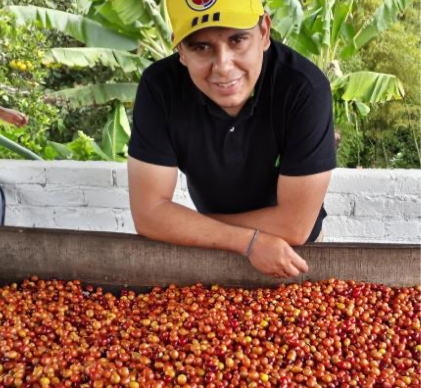 NoFi - Champagne Room