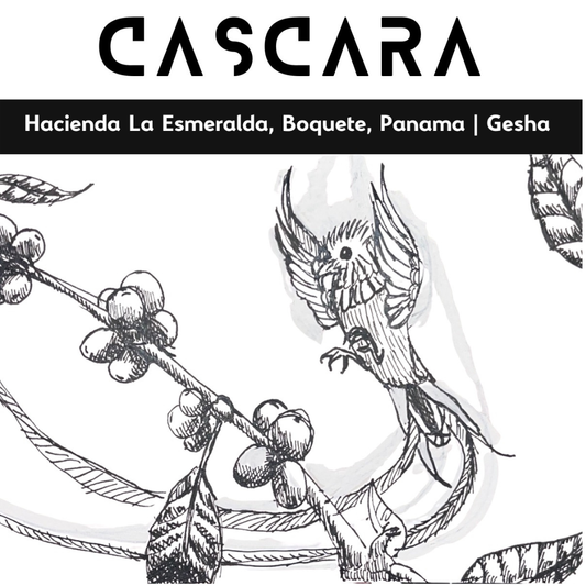 NoFi Hacienda Esmeralda Cascara