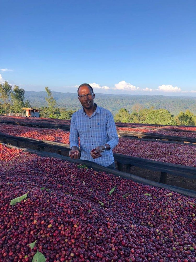 Tagel Alemayehu - Ethiopia Washed